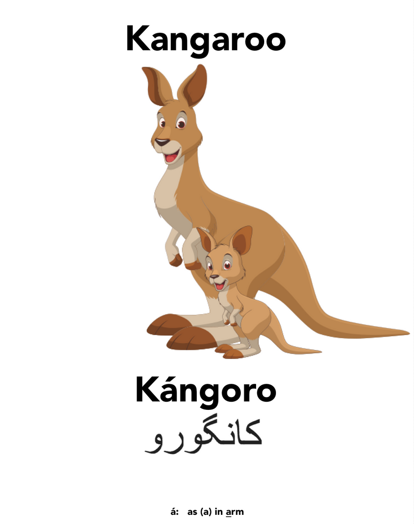 Kangaroo