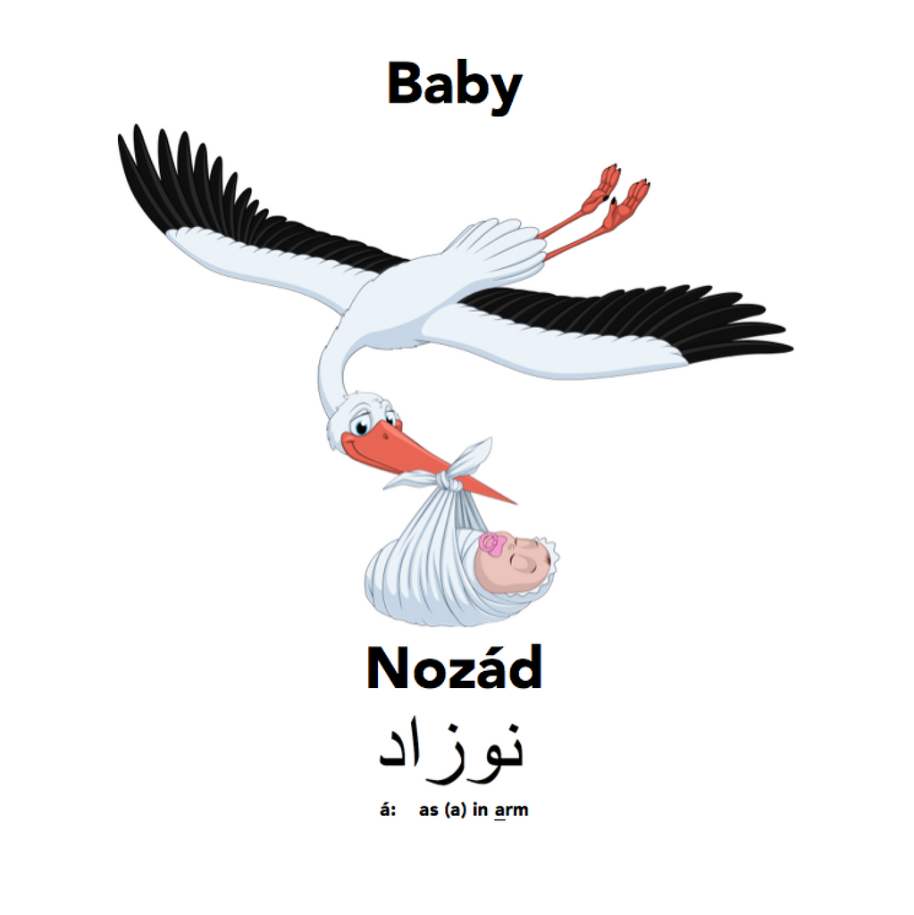 Baby shower anyone? Englisi Farsi