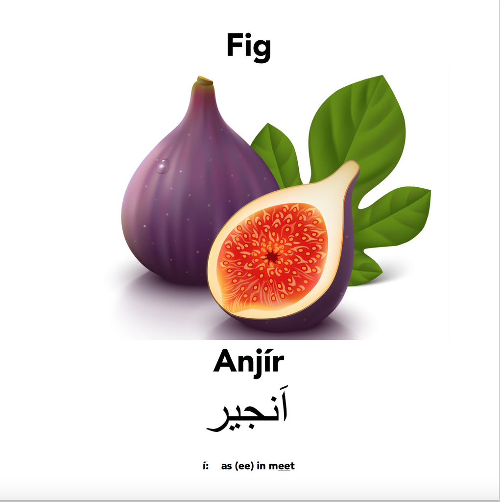 Fig season in Perth with Englisi Farsi