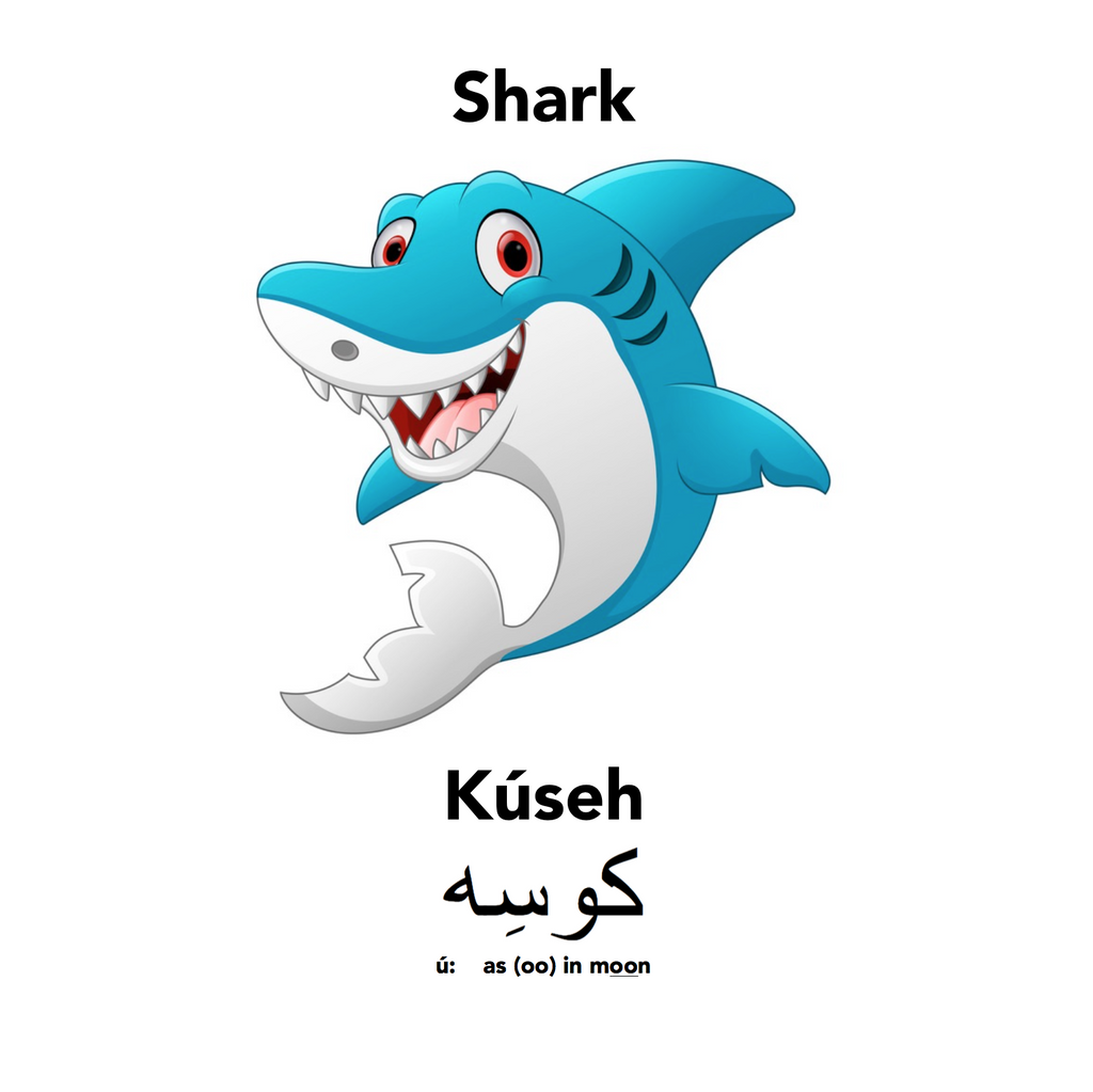 Sharks under the Sea- Englisi Farsi