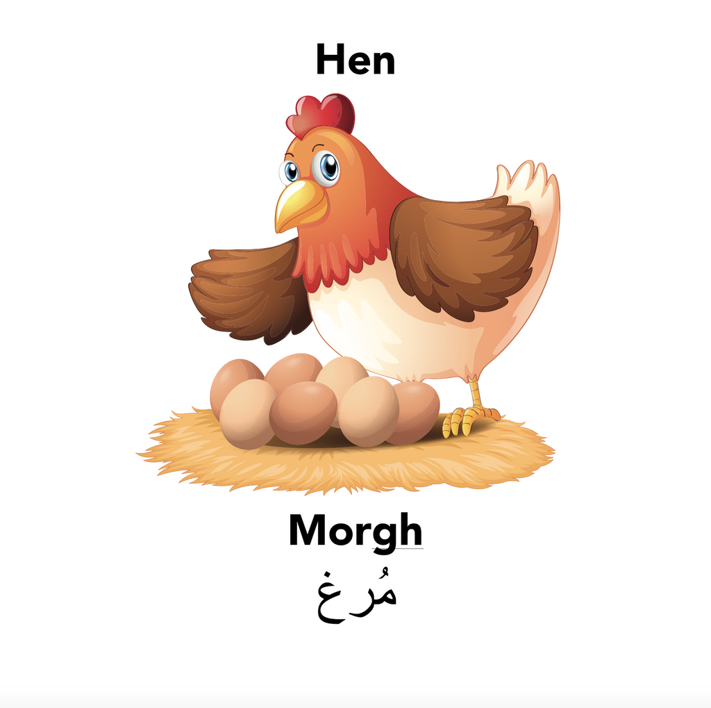 The chicken or the egg? Englisi Farsi