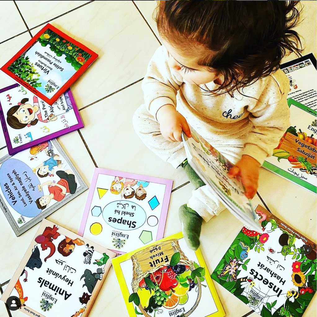Englisi Farsi Persian Book Bundle Hamechi - I want everything!