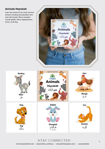 Persian Book Collection - Englisi Farsi Finglisi Books for the Iranian Diaspora