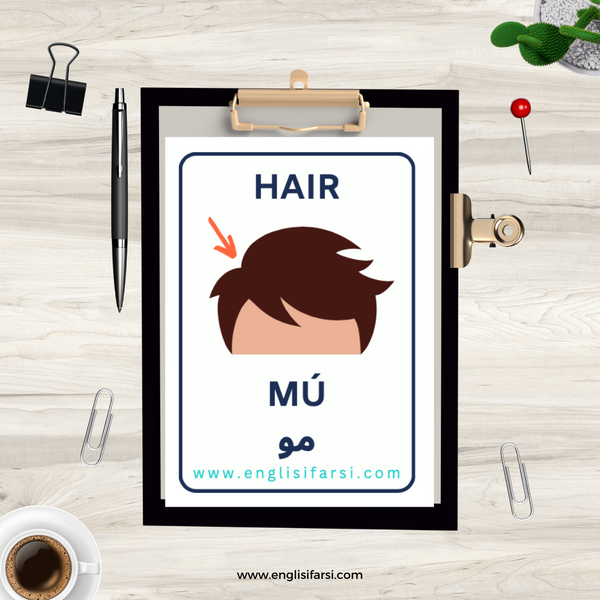 Persian hair body parts flash card