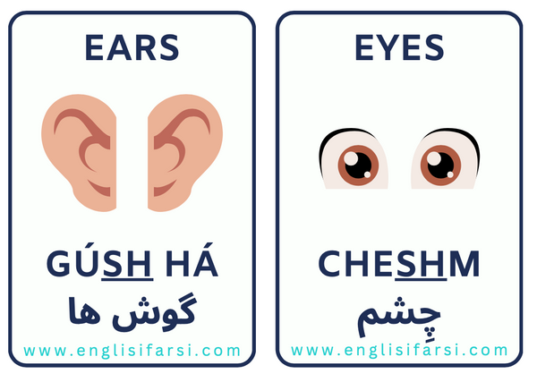 Persian eyes body parts