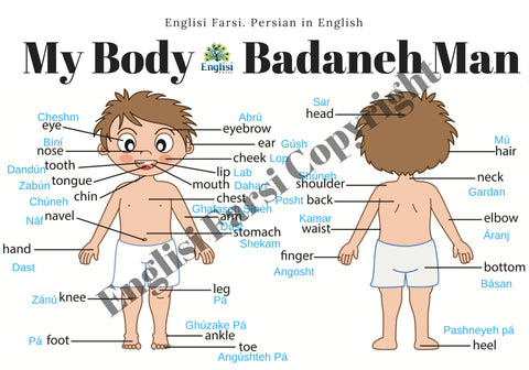 Persian Body Parts in phonetic Persian Finglisi