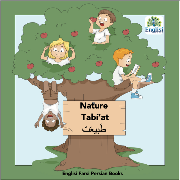Persian Book Bundle 4 FOUR CHAHÁR ۴ 👩⚕️ 🤓 ۵ 🕰 🍃   LUX HARD COVER - Learn Persian