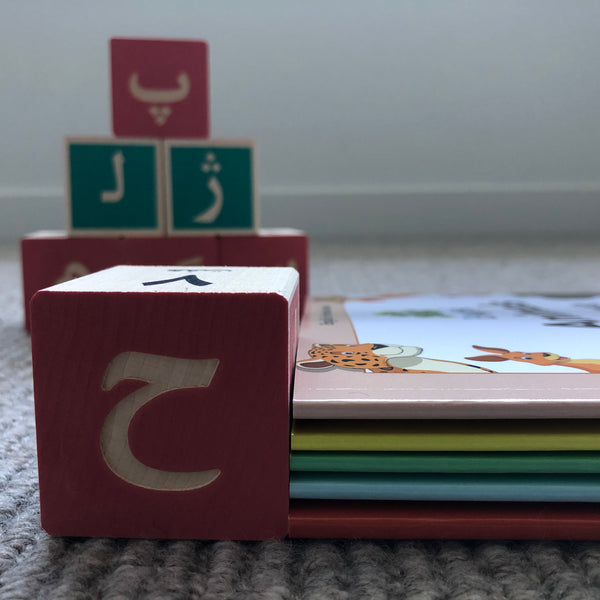 Mix & Match 5 Books in SOFT COVER 🧩 - Learn Persian