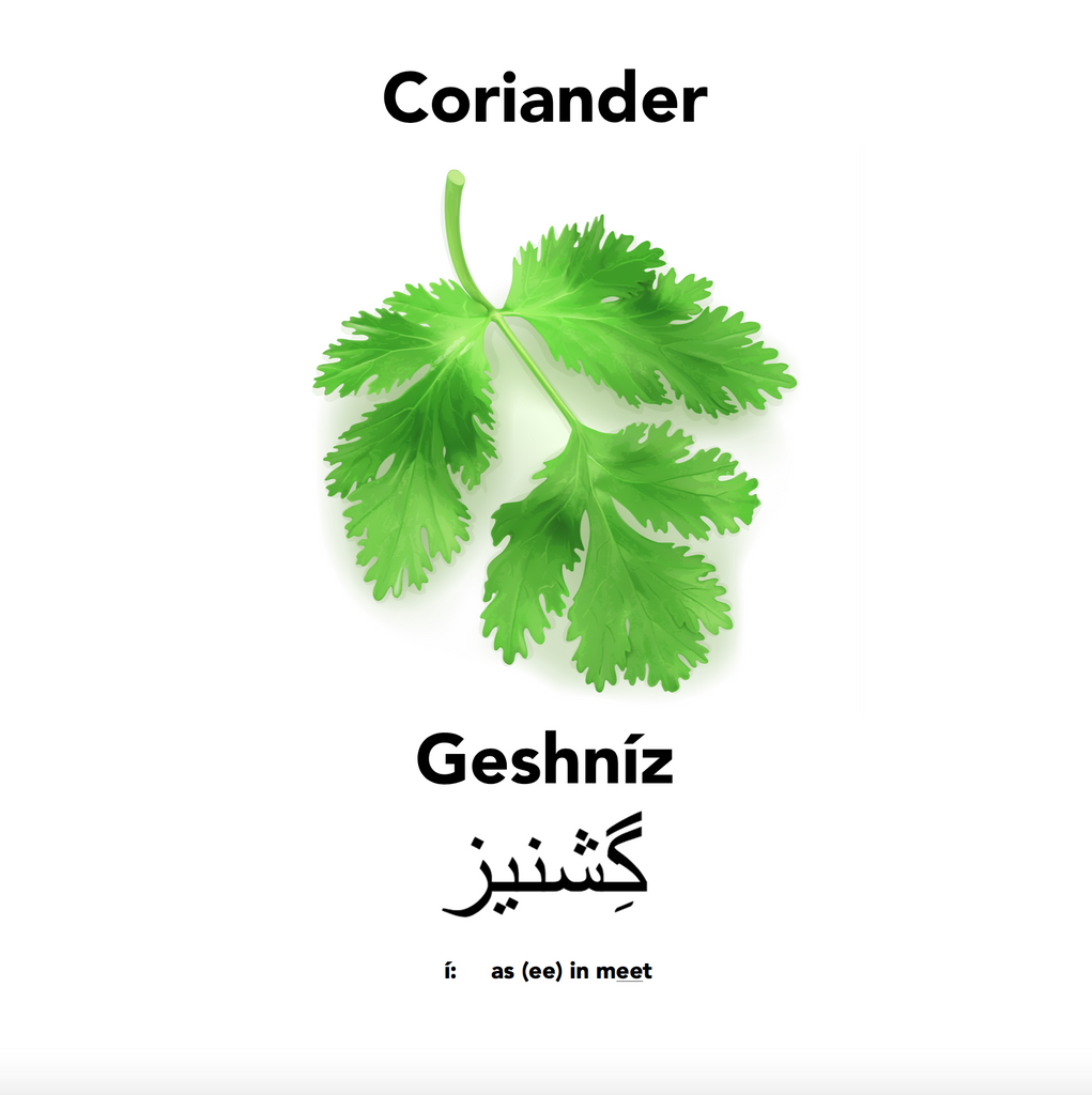 Coriander in Englisi Farsi