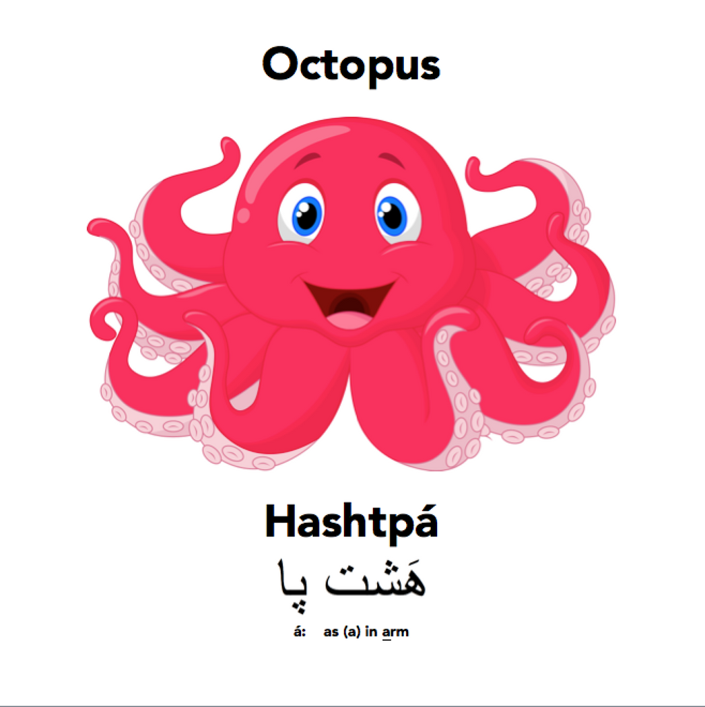Octopus with Englisi Farsi