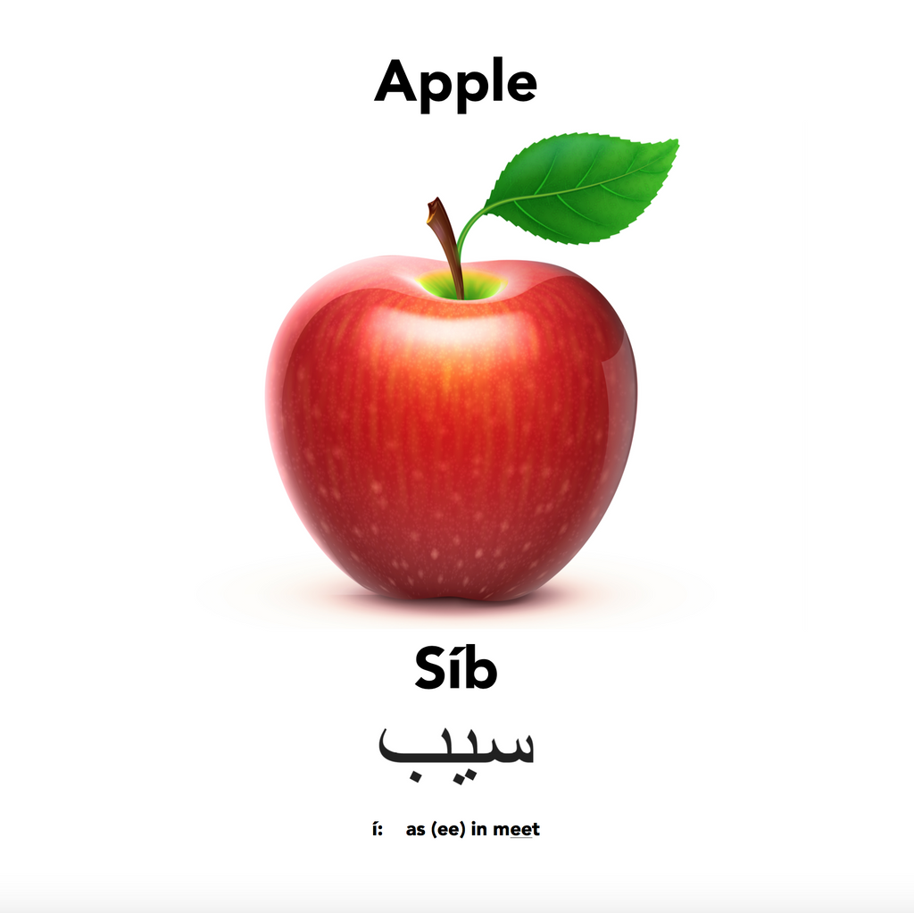 Haft Sín and Apple with Englisi Farsi