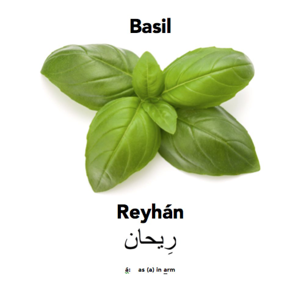 Basilicious at Englisi Farsi