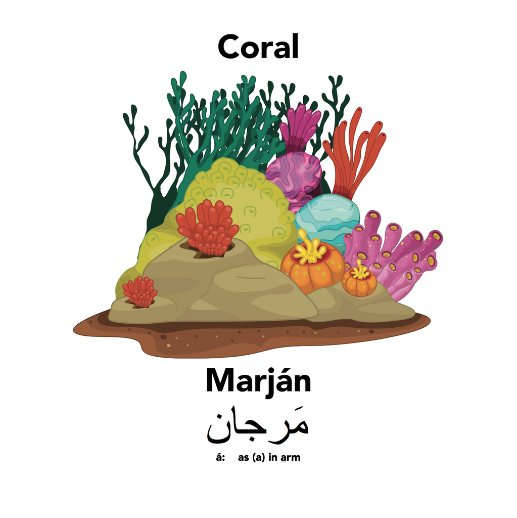 Coral is Marján?! Englisi Farsi