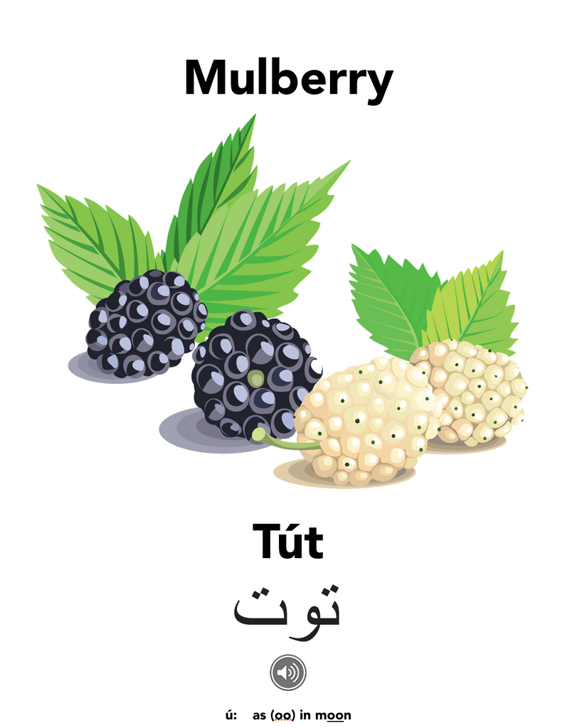 Mulberry jam anyone? Englisi Farsi
