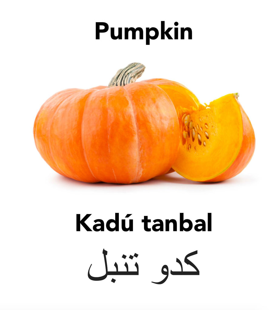 Lazy pumpkin and Englisi Farsi