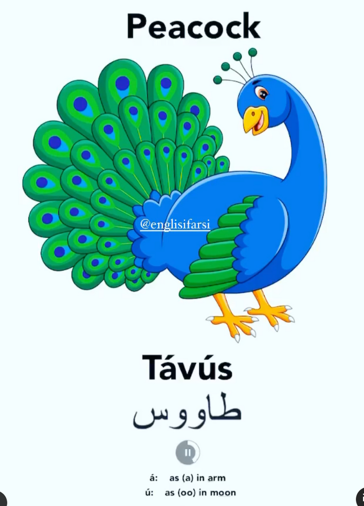 Englisi Farsi Persian Books Heyvanat Tavus