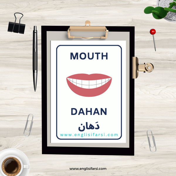 Persian mouth body parts flash card