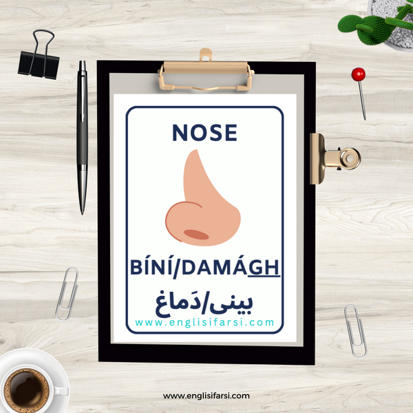 persian nose