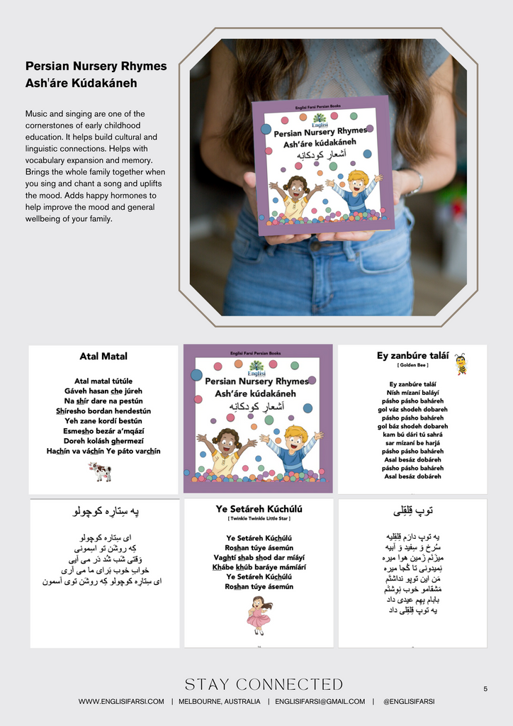 Persian Book Bundle 5 FIVE PANJ ۵ 🎶 🎲 LUX HARD COVER (2 books) NEW - Learn Persian