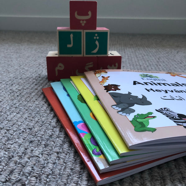 Mix & Match 5 Books in SOFT COVER 🧩 - Learn Persian